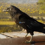 Screenshot #2 - Animalia - Raven