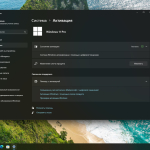 Screenshot #5 - Windows 11 Pro 24H2 Build 26100.3476 без защитника