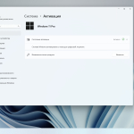 Screenshot #5 - Windows 11 Pro 24H2 Build 26100.3476 Optima