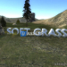 Soft grass shader