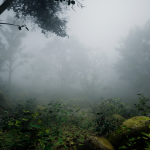 Screenshot #6 - Screen Space Fog Scattering SSFS UE5.7  v1.31