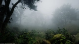 Screen Space Fog Scattering SSFS UE5.7  v1.31