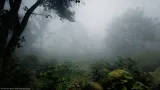 Screenshot #6 - Screen Space Fog Scattering SSFS UE5.7  v1.31