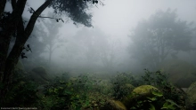 Screen Space Fog Scattering SSFS UE5.7  v1.31