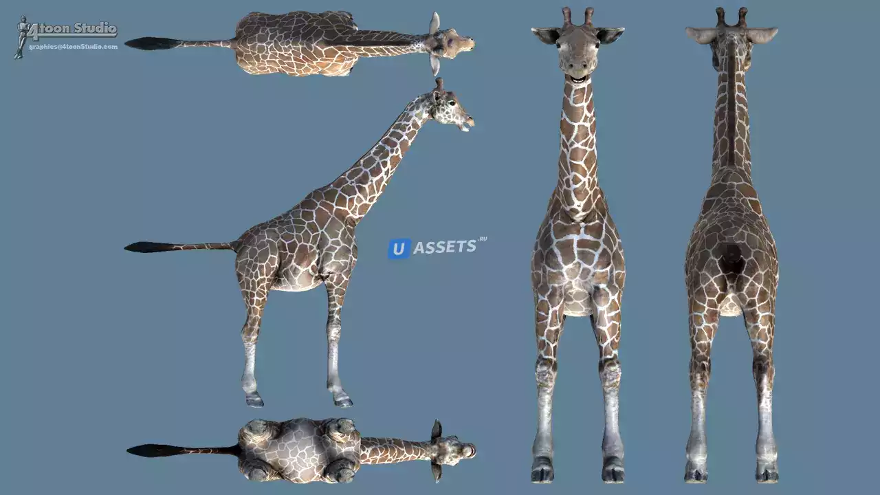 Screenshot #1 - African Animal Pack 2