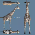 Screenshot #1 - African Animal Pack 2