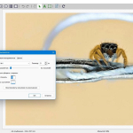 Screenshot #3 - PdfFactory Std & Pro 8.42