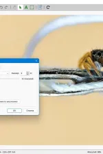 Screenshot #3 - PdfFactory Std & Pro 8.42