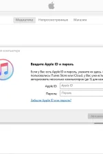 Screenshot #2 - iTunes 12 для Windows