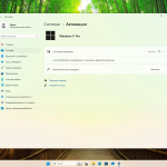 Screenshot #7 - Windows 11 Русская 24H2 Pro Build 26120.3000 Dev
