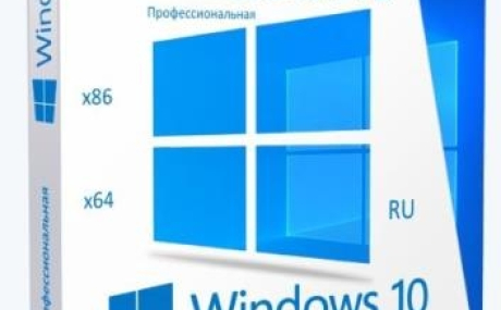 Windows® 10 Professional VL x86-x64 1903 19H1 RU by OVGorskiy® 07.2019 2DVD