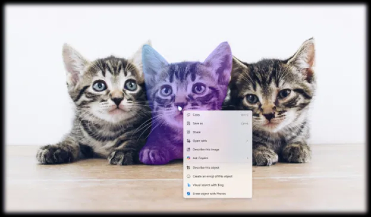 Screenshot #1 - Windows 11 Pro 25H2 Build 26220.6772 Dev