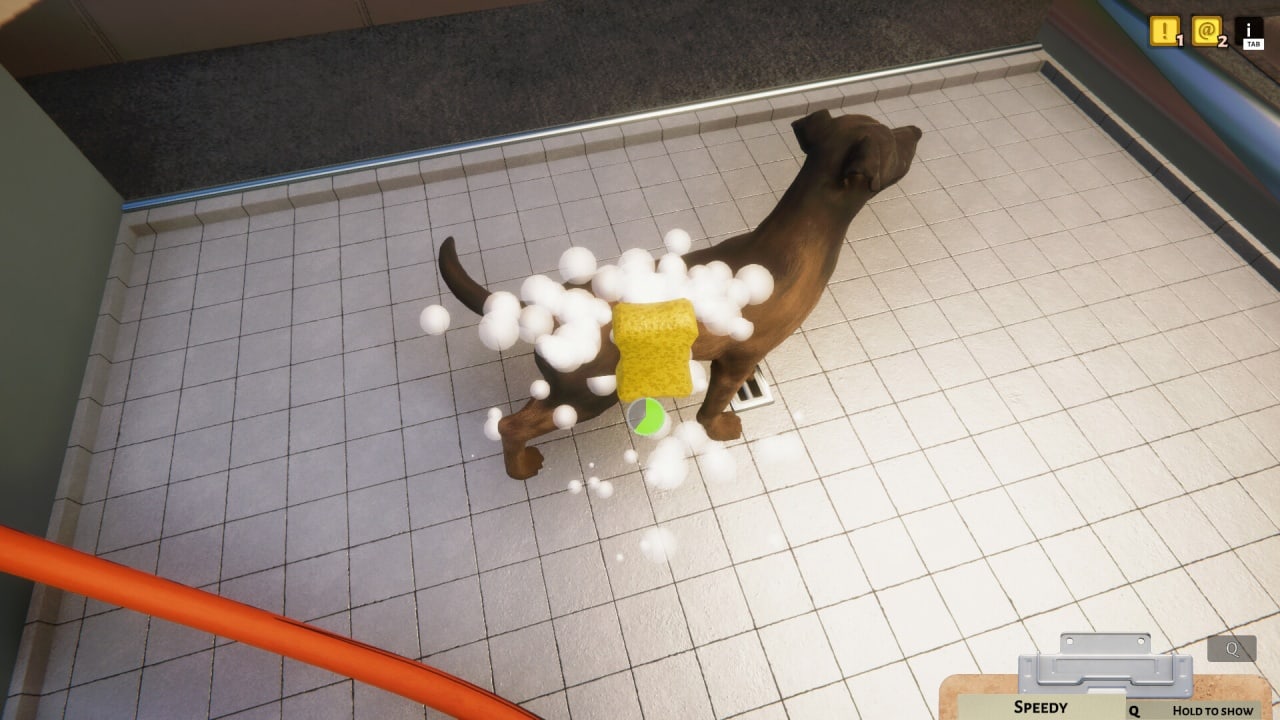 Screenshot #2 - Animal Shelter