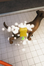 Screenshot #2 - Animal Shelter