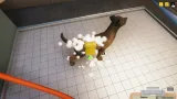 Screenshot #2 - Animal Shelter
