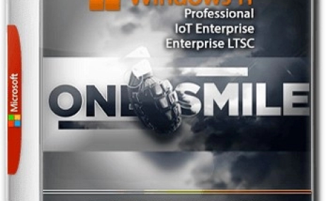 Windows 11 Pro/IoT/Ent LTSC by OneSmiLe 24H2 build 26100.2894