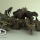 FANTASY LIZARDS PACK