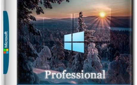 Windows 10 Optima Pro 22H2 19045.5131 x64