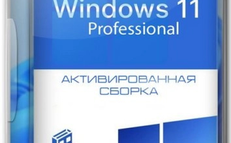 Windows 11 Pro Lite 24H2 build 26100.7171