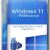 Windows 11 Pro Lite 24H2 build 26100.7171
