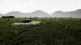 Screenshot #1 - Realistic Grass SV 02 Master Grass для UE5