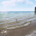Screenshot #1 - Fluid Flux UE5.6+  v3.0.8