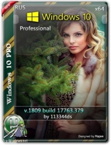 Windows 10 Pro RS5 (1809) build 17763.379 by 113344ds