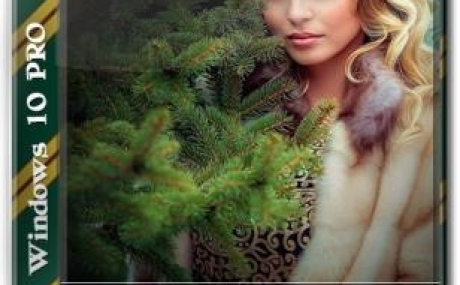 Windows 10 Pro RS5 (1809) build 17763.379 by 113344ds