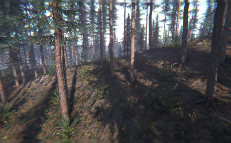 Spruce Trees Pack
