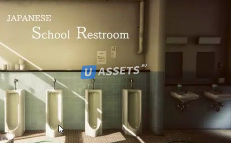 Japanese School Restroom