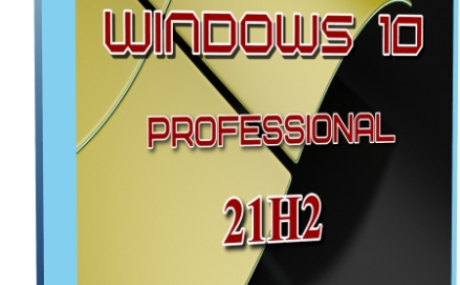 Windows 10 Professional 21H2 19044.1202 x64