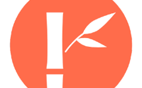 RadZen v2.87.6 .Net Core, Angular, Business Web Applications Builder