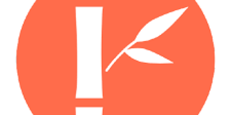RadZen v2.87.6 .Net Core, Angular, Business Web Applications Builder