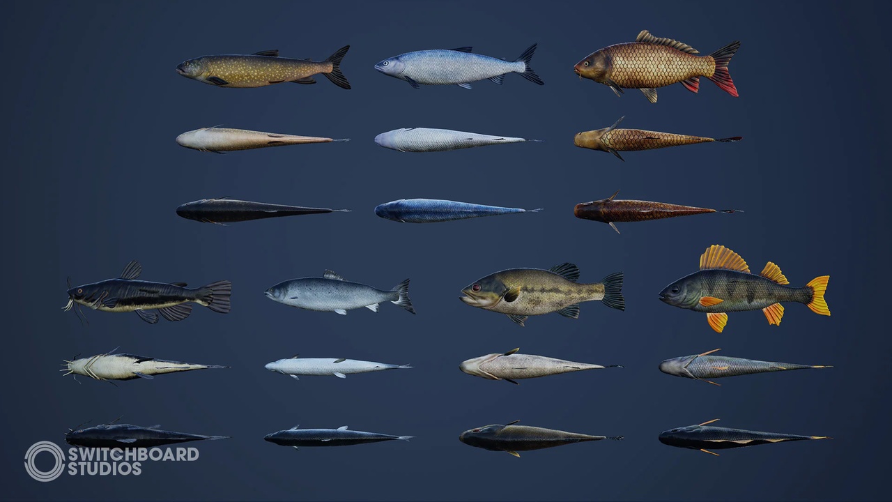 Screenshot #1 - Ultimate Fishing Megapack (Unreal Engine)