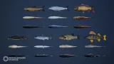 Screenshot #1 - Ultimate Fishing Megapack (Unreal Engine)