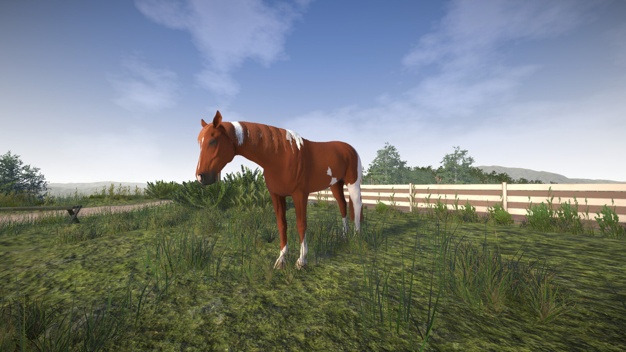 Screenshot #4 - Astride