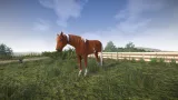 Screenshot #4 - Astride