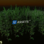Screenshot #4 - Nature Package - Forest Environment
