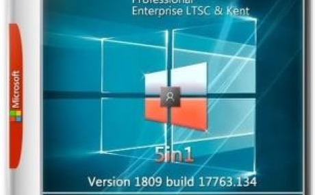 Windows 10 (v1809) x64 5in1 by kuloymin v16 (esd)