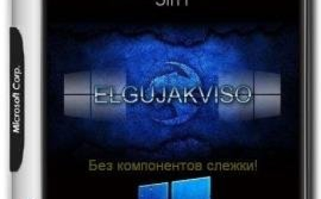 Windows 10 3in1 (x86/x64) Elgujakviso Edition v.20.08.17