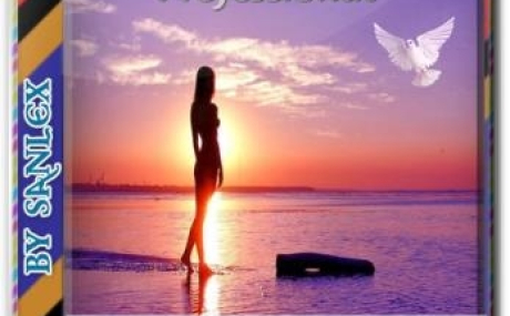 Windows 10 Pro 1903 Build (18362.295) by SanLex x64bit