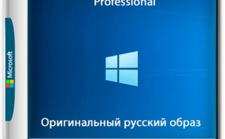 Windows 10 Pro 22H2 Build 19045.5011 Full Октябрь 2024