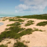 Screenshot #1 - MW Auto Material