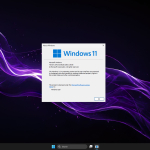 Screenshot #2 - Windows 11 PRO 23H2 22631.5039 Update 17 by Ghost Spectre