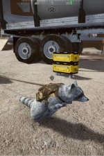 Screenshot #6 - Wanted Raccoon