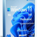 Windows 11 Professional VL x64 21H2 RU by OVGorskiy 10.2021