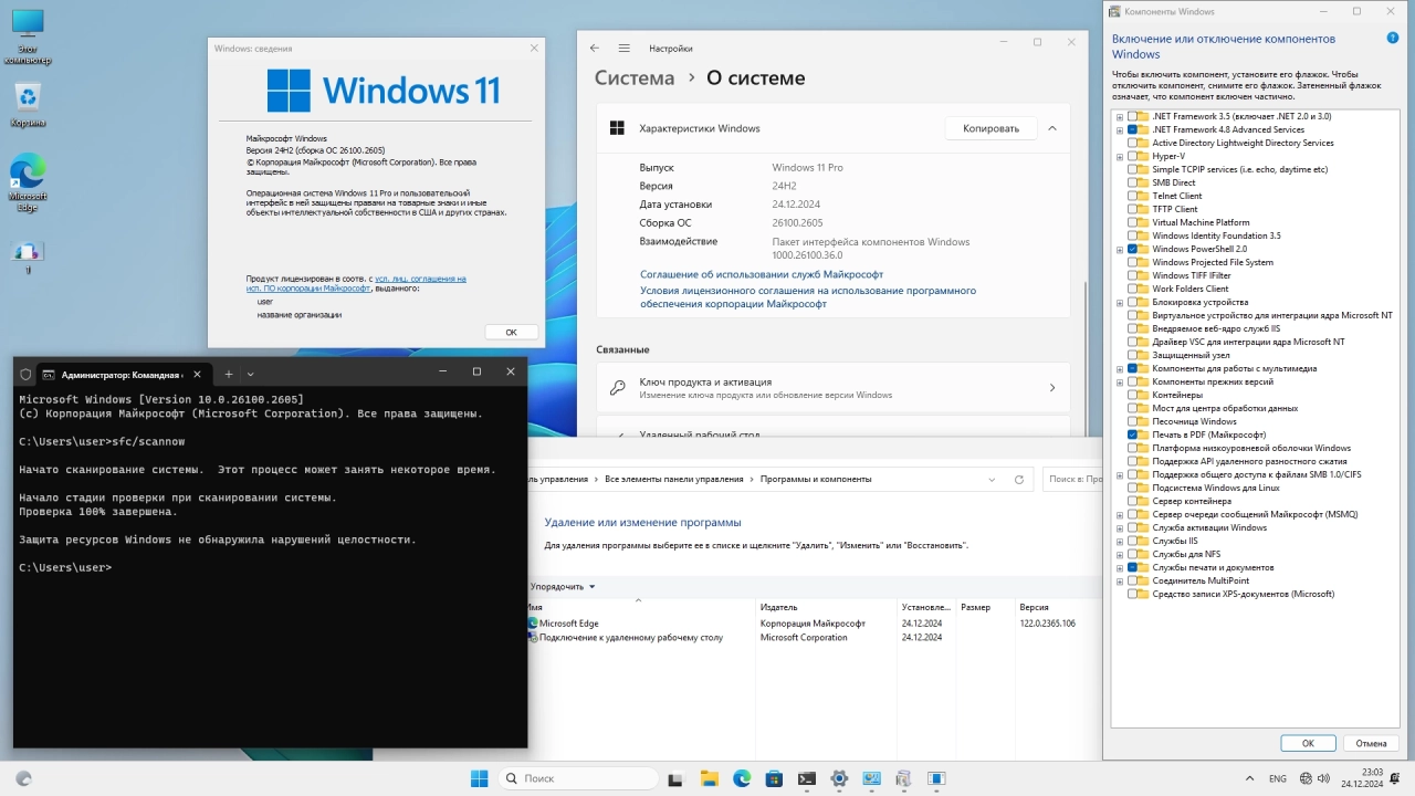 Screenshot #5 - Windows 11 Pro 24H2 Build 26100.2605 by Igors_VL Русская