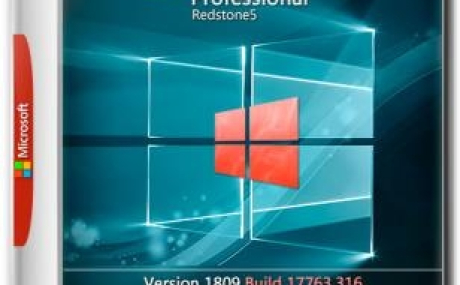 Windows 10 Pro x64 1809.17763.316 by Nicky & Rain