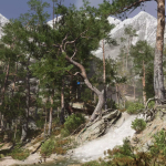 Screenshot #2 - River Valley - Level