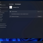 Screenshot #5 - Windows 11 Pro 23h2 22631.3880 без защитника и приложений